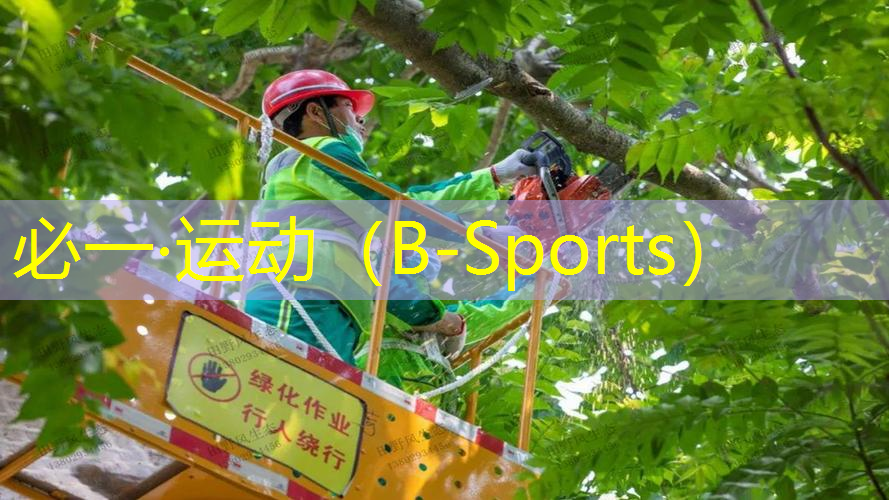 威尔逊新手专业网球拍